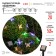 Garland Garden era on the solar battery "Butterflies" LED, IP54