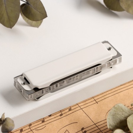 Music Life T008L Clinkle C Diatonic, 10 holes, with a case-2