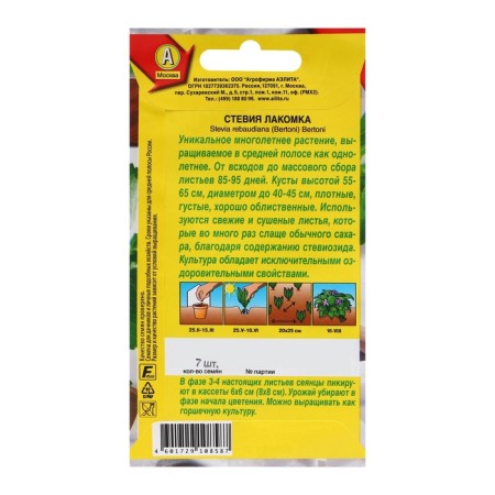 Stevia seeds "varnish", c/n, 7 pcs-1