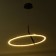 Lamp with DDD "Holly" LED 48W 3000-6000K black and gold 60x60x22 cm