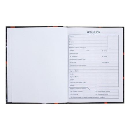 Universal diary for grades 1-11 faster than wind, solid cover, glossy lamination, 40 sheets-4