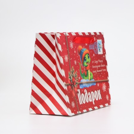 New Year. Laminated Package "Snake", MS 23 × 18 × 10 cm.-2