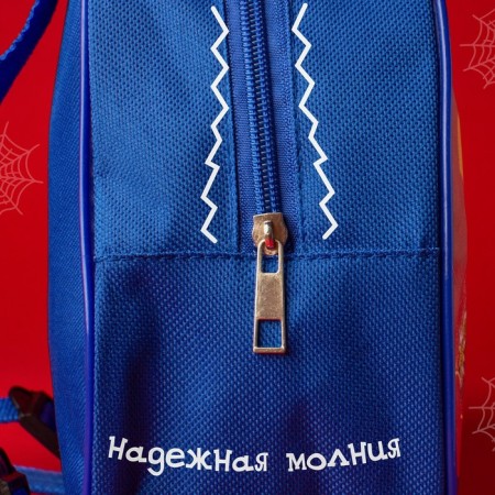 Baby backpack, 23x21x10 cm, Spider-Man-5
