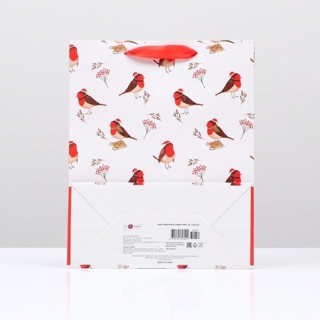 Gift package "Feathered", 26 x 32 x 12 cm-1