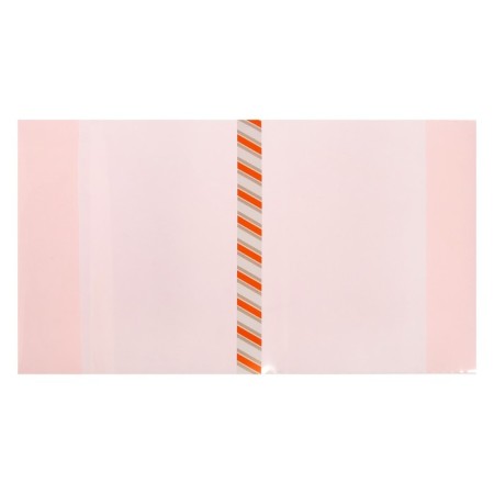 Set of covers PE 5 pieces, 217 x 400 mm, 200 μm, for diaries and verification work, universal, with bookmarks, mix-10