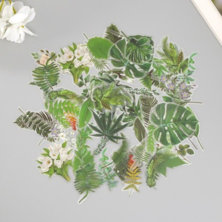 Stickers for creativity PLC PVC "Green Leaves" set 60 pcs 10x14 cm-1