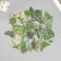 Stickers for creativity PLC PVC "Green Leaves" set 60 pcs 10x14 cm