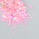 Glitter in the jar "Stars. Raspberry mother of pearl" set 6 grams 5x2x2 cm