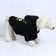Folder Off-Dog for dogs (foot with a hose), size S (DS 24, Osh 33-37, OG 42-44), black
