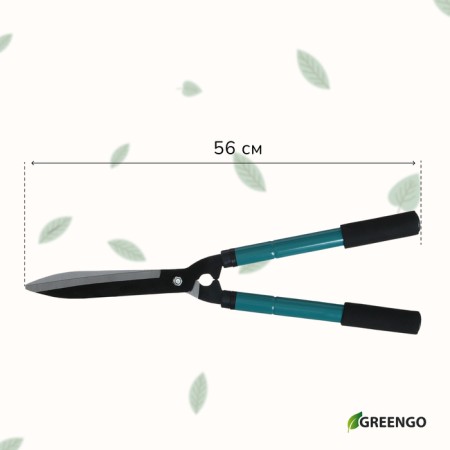 Kustorez, 22–28.5 "(56–73 cm), telescopic, with foam handles, with a case, color mix, Greengo-6