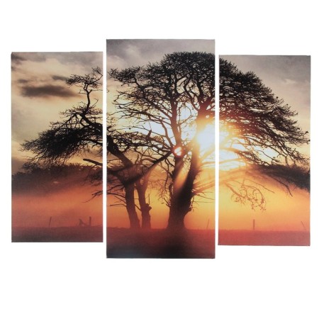 Modular picture "at sunset" (2-25x52; 1-30x60) 60x80 cm