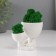 Kashpo concrete mini "Mr. Green with a baby" with moss white 5.5x8.5x6.5 cm (moss green stabil)