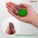 Designer "Africa", 35 elements