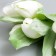 Flowers for decorating "snowy white tulips" 1 bouquet = 6 colors 14 cm