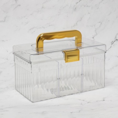 Organizer for storing cosmetic supplies "Light", a chest with a lid, removable partitions, 21.5 × 12 × 12 cm, color mix-3