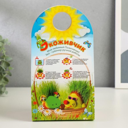 Growing gift Eco -Zhizhivchik "boy" mix-7