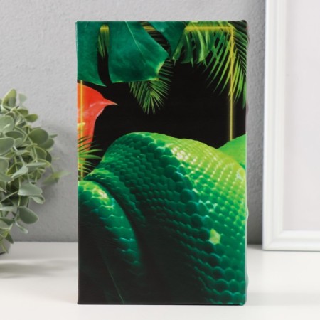 Safe Brove Del to the leatherette "Snake in the jungle" 3d embossing 21x13x5 cm-5
