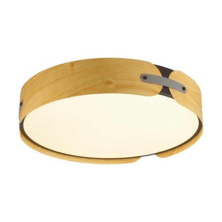 Lamp Coraggio LED 65W 3000-6000K D450 IP20, with PDU-8