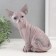 Figure "Kitten Sphinx" 22 x 10 x 21 cm.