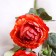 Flowers artificial "Elsa peony" D-10 cm 64 cm, peach