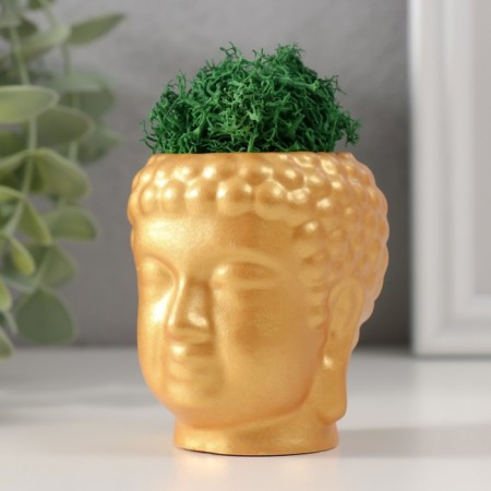Kashpo concrete "Buddha" with moss 7*6cm gold (moss green stabilized)-3