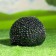 Garden figure "Hedgehog Hedgery" 19x14x13cm