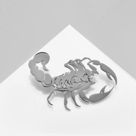 Brooch "Scorpio" steel, silver color-1