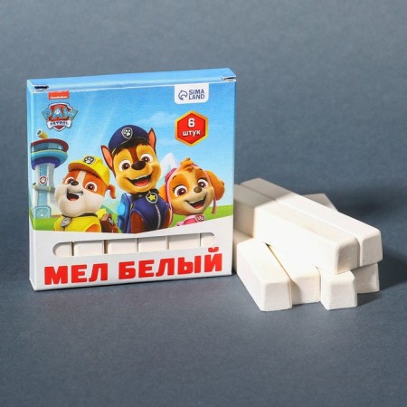 School School School 6pcs "Puppy Patrol" PAW PATROL, rectangular-4