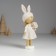 Souvenir Polystone "Girl in a hat with ears and flowers, with a lamb" MIX 5x4x15 cm