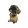 Dog on a car panel shocking his head, mini, spaniel
