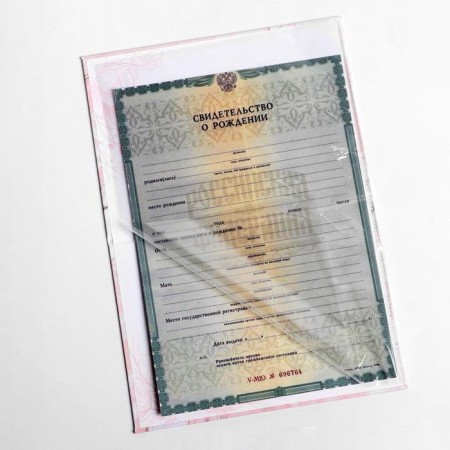Folder for birth certificate "Flowers", A5-5