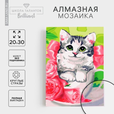 Diamond mosaic with full filling on the canvas "Kitten", 20 x 30 cm