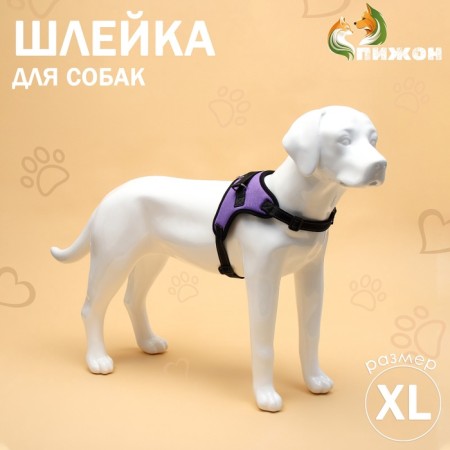 Cluck K7 soft reflective, size XL, OG 74-92 cm, weight 28-47.5 kg, purple