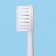 Electric toothbrush "Universal", mod LP-003, 19 x 2.5 cm
