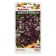 Basil seeds "purple", 0.3 g