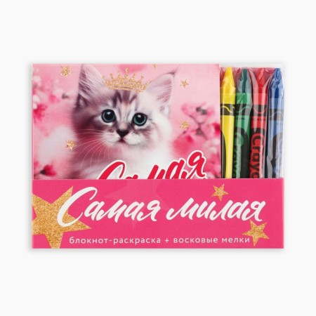 Gift set: notebook painting and wax crayons "The smallest"-13