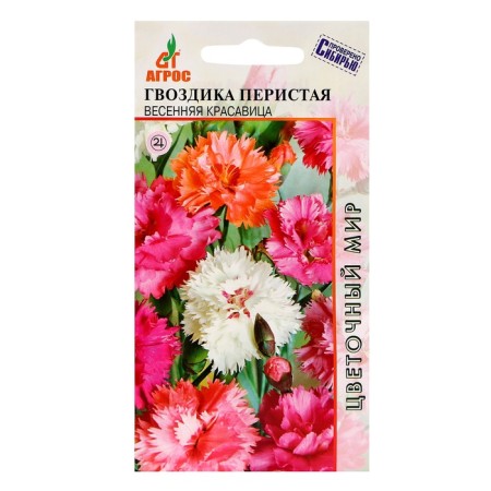 Clove seeds Carbon fir -spring beauty 0.1g*