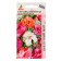 Clove seeds Carbon fir -spring beauty 0.1g*
