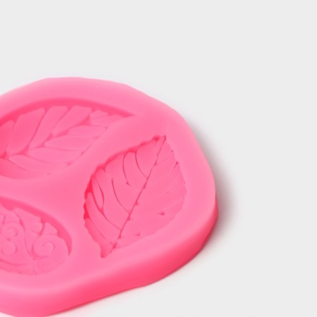 Mold Dolyana "Foliage", silicone, 7.5 × 6.5 cm, color mix-2