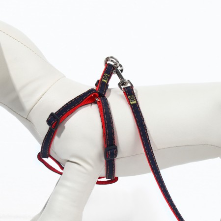 Kit "jeans", leash 120 x 1 cm, og 25-40 cm, red-3