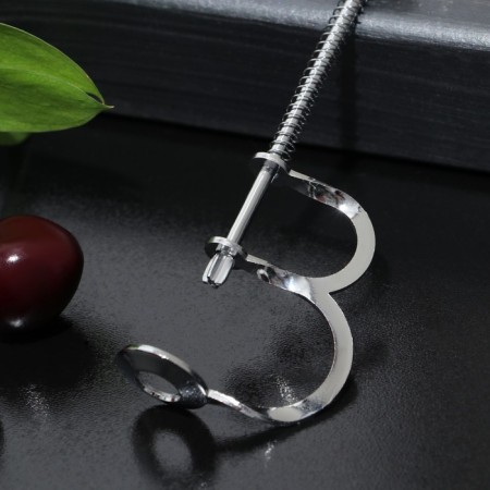 Remote of the bones of the share "amateur", 12.5 cm, silver color-1