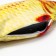 A toy for cats "crucian carp" with a moving tail and with a USB-ship, 28 cm