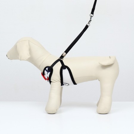 A set with a soft harness and a bantik "sea", size S, leash 120 x 1.5 cm, fire 23-42 cm 968377-1