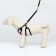 A set with a soft harness and a bantik "sea", size S, leash 120 x 1.5 cm, fire 23-42 cm 968377
