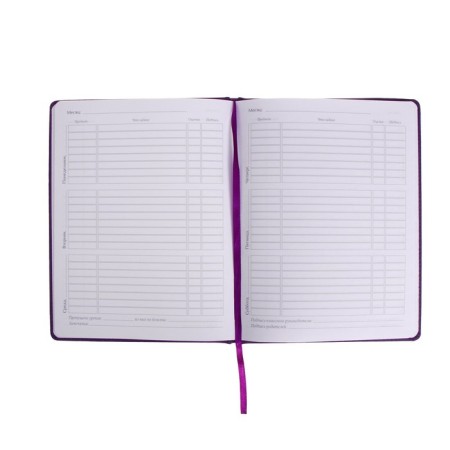 Universal diary for grades 1-11, 48 Velvet sheets, hard cover, artificial leather, thermoting, liesse, block 70 g/m2, purple-6