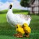 Garden figure "Duck with ducklings" 28x30x17cm