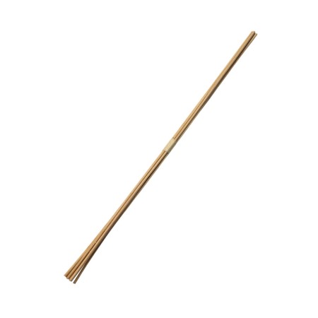 Sticks for the diffuser art.