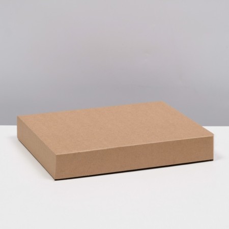 Box the team without printing a lid is a brown without a window 26 x 21.5 x 4 cm-1