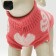 Sweater, size 14 (DS 40-55, Osh 20-35, OG 36-51 cm), mix of colors