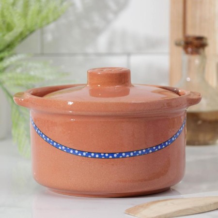 Social-sized pot "Geese", 1 liter-1